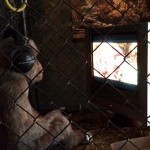 ¡No pongáis anuncios en juegos de acción!