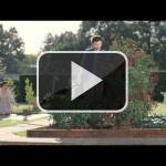 Los publicistas de Stihl no han entendido nada