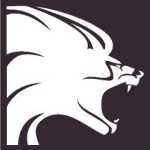 ¿Trabaja Lionhead Studios en un MMORPG?