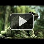 Este tráiler de Crysis 3 te la pondrá dura