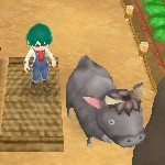 Mirad qué montonazo de pantallas de Harvest Moon: A New Beginning