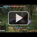 El combate y las quests en Final Fantasy XIV: A Realm Reborn