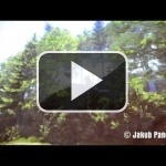 El creador de Mafia enseña la tecnología de su juego para la próxima generación