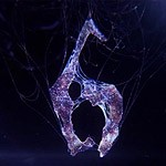 Resident Evil 6 llegará a PC el 22 de marzo