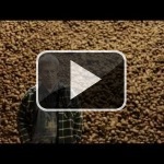 Este tráiler de Potatoman Seeks the Troof es increíble