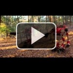 El Sonic de este cortometraje tiene la voz de Steve Urkel