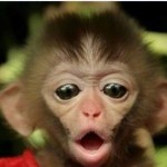 Rumor: ¿Especificaciones técnicas de la próxima Xbox?