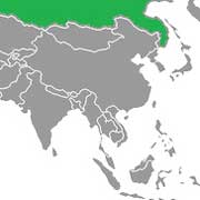 Microsoft sigue dando Asia por perdida