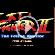 Cat Fighter II es Street Fighter con gatos, por supuesto