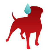 Zynga demanda a Bang With Friends