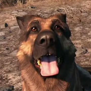 Fallout 4 permite las relaciones románticas y las masacres indiscriminadas