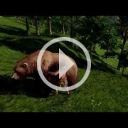 Michel Ancel nos enseña su nuevo juego, WiLD