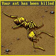 El desarrollo de Ant Simulator termina en drama