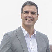 Renovación democrática y compi yoguis: Pedro Sánchez Simulator 2016
