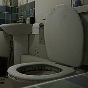 Allison Road vuelve de entre los muertos