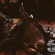 Apocalypse Now llega a Kickstarter de la mano de Francis Ford Coppola