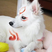 Capcom confirma el remaster de Okami a 4K