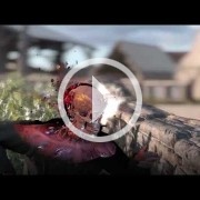 Los videojuegos violentos según la Casa Blanca