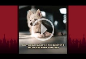 Russian Subway Dogs estará disponible el 2 de agosto