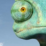 Análisis de Rango: El videojuego