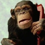 Microsft llevará Skype a Xbox Live y Kinect