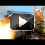 Medal of Honor Cat es el vídeo del verano