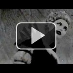 Bioware anuncia Warhammer Online: Wrath Of Heroes