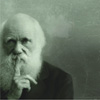 darwinito