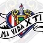 msd1906