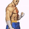 Sagat