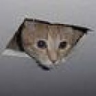 zaero Avatar