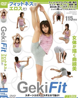 gekifit.jpg hay porno basado en videojuegos
