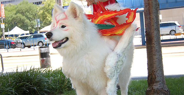 este perro disfrazado de amaterasu es lo puto mejor del mundo