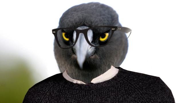 2011_09/angry-gafapasta-bird 2011_09/angry-gafapasta-bird