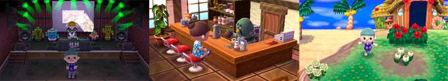 Avance de Animal Crossing: New Leaf