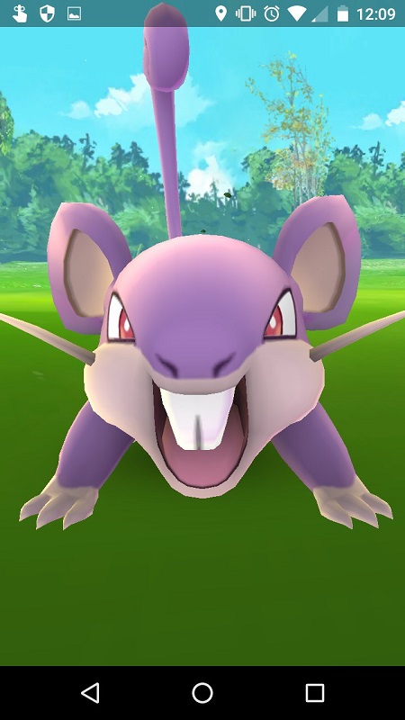 Pokémon Go: Paseando a miss Pidgey