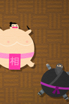 flamingo/sumo flamingo/sumo