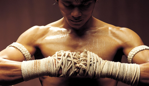 ongbak-foto-tonyjaa